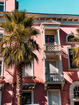 A palm tree grows next to a colored house 写真素材