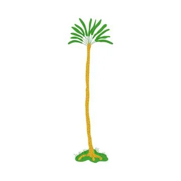 Palm tree, hand drawn flat vector illustration isolated on wihte background. Stock Illustration