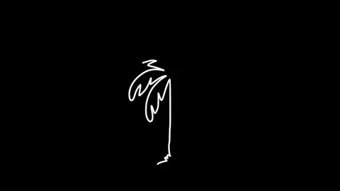 Palm tree hand drawn Line icon Animation isolated on background Stock Footage 314659807