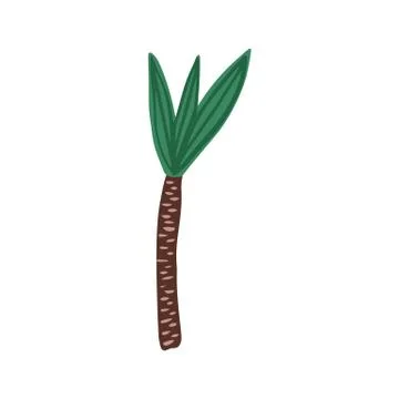 Palm tree in hand drawn style isolated on white background. Stock Illustration