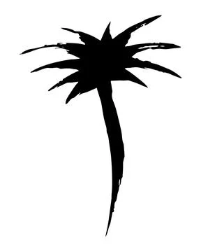 Palm tree hand painted with brush. Doodle cartoon coconut palmtree icon isolated Stock Illustration
