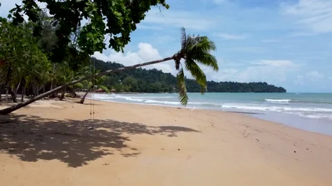 A palm tree hangs over the beach. Flying a drone under a palm tree Stock Footage 166942068