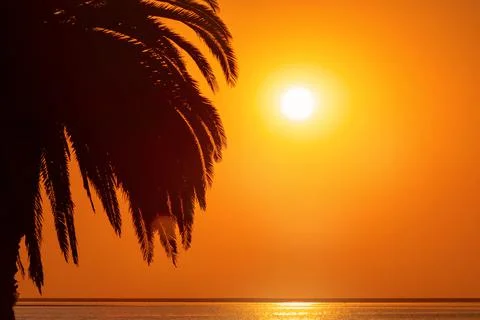 Palm tree, heavy dramatic clouds and bright sky. Beautiful African sunset ove Stock Photos