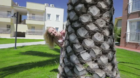 Palm tree hide and seek Stock Footage 49347423
