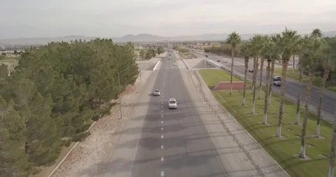 Palm Tree Highway 2 Stock Footage 121981454