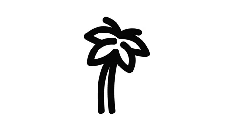 Palm tree icon animation Stock Footage 153078879