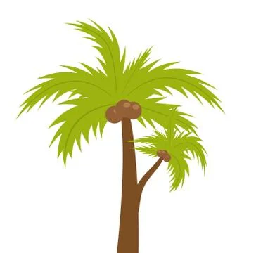 Palm tree. icon flat, cartoon style. Summer, beach concept isolated on whit.. Stock Illustration