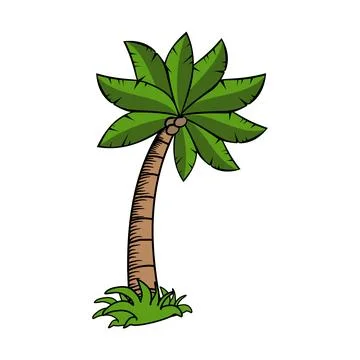 Palm tree icon vector isolated on white background Illustrazione stock
