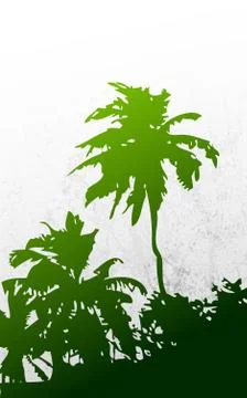 Palm Tree Stock Illustration