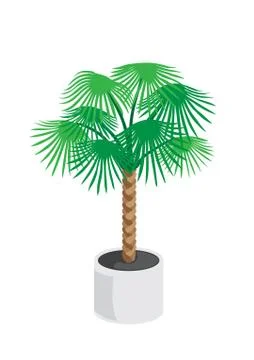 Palm tree Stock Illustration