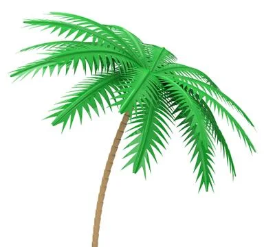 The palm tree Stock Illustration