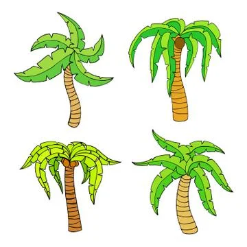 Palm tree Иллюстрация