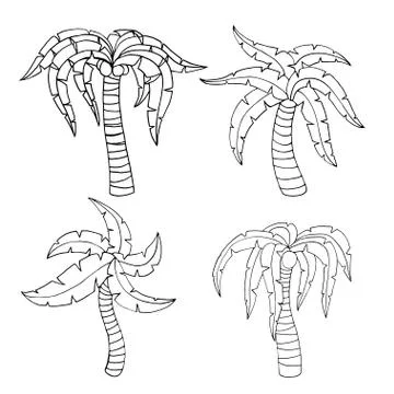 Palm tree イラスト素材