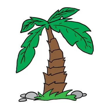 Palm tree Illustrazione stock