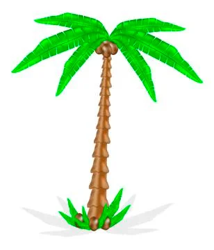 Palm tree Stock Illustration
