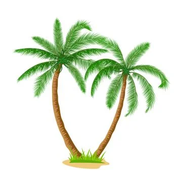 A palm tree Stock-Illustration
