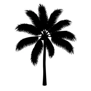 Palm Tree Illustrazione stock