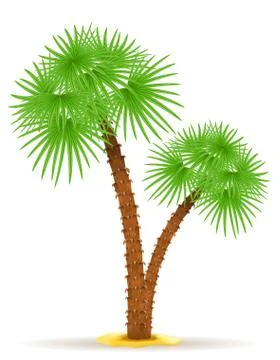 Palm tree illustration Stock Illustration