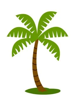 Palm-tree-illustration Stock Illustration