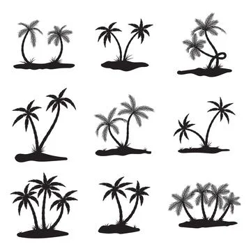 Palm tree illustration Stock Illustration