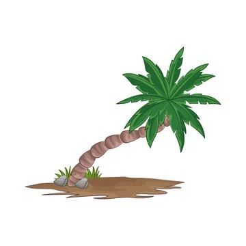 Palm Tree Illustration Stock Illustration