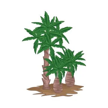 Palm Tree Illustration Stock Illustration
