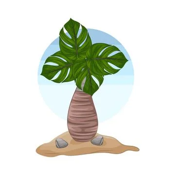 Palm Tree Illustration Stock Illustration