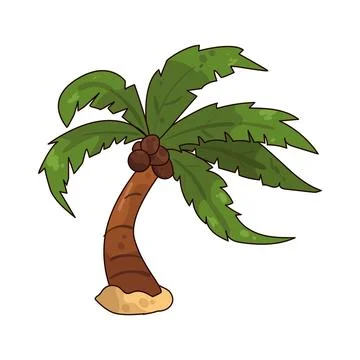 Palm Tree illustration Illustration