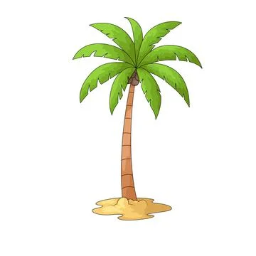 Palm Tree illustration Illustration