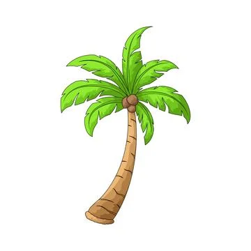 Palm Tree illustration Ilustração Stock
