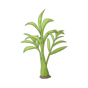 Palm Tree illustration Stock Illustration