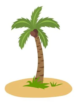 Palm tree illustration vector Stock Illustration