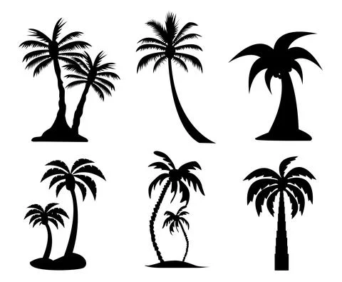 Palm tree image vector Stock Illustration
