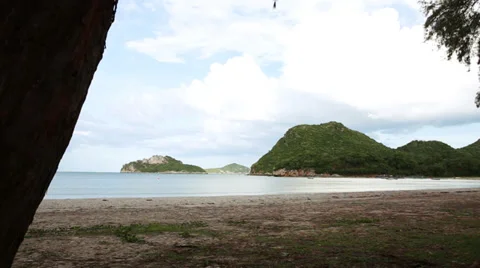 Palm tree on an island Stock Footage 29990311