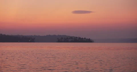 Palm Tree Island Reflected in Calm Lake Before Sunrise in Kerala, India Stock Footage 305660144