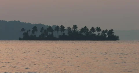 Palm Tree Island Reflected in Calm Lake Before Sunrise in Kerala, India Stock Footage 305666340