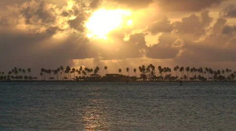 Palm Tree Island Sunset Stock Footage 482014