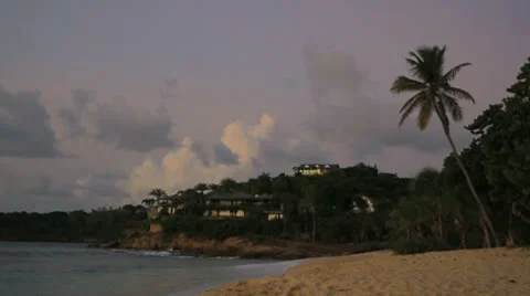 Palm tree at the island in sunset Video stock 8927025