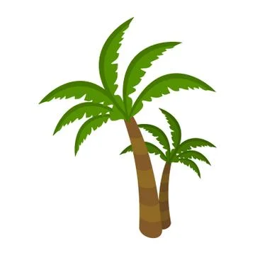 Palm Tree Isolated on White Background. Arecaceae 스톡 일러스트