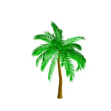 Palm tree. Isolated on white background. Isometric view. 스톡 일러스트