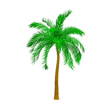 Palm tree. Isolated on white background. 3d Vector illustration. Stock Illustration
