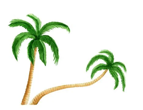 Palm tree isolated on white background. watercolor illustration Illustrazione stock