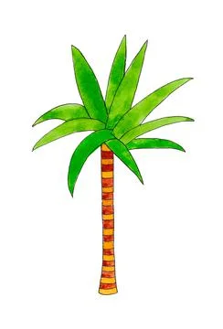Palm tree isolated on white background. Outlined outline. Stock Illustration