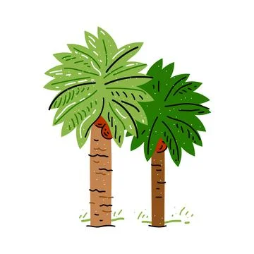 Palm tree isolated on white background. Flat style. Vector illustration Stock Illustration