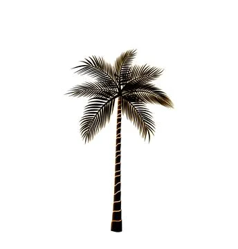 Palm tree isolated on white background illustration Stock Photos