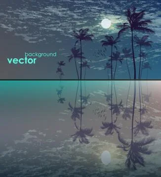Palm tree landscape in moonlight Stock Illustration