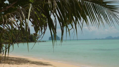 Palm tree leaf against beautiful sea. Island beach Video stock 234771909