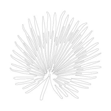 Palm tree leaf in black outline on white background Stock Illustration