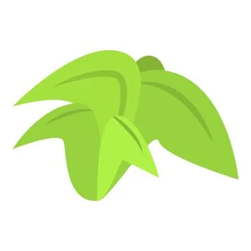 Palm tree leaf icon, isometric style Stock Illustration