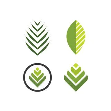 Palm tree leaf  illustration イラスト素材